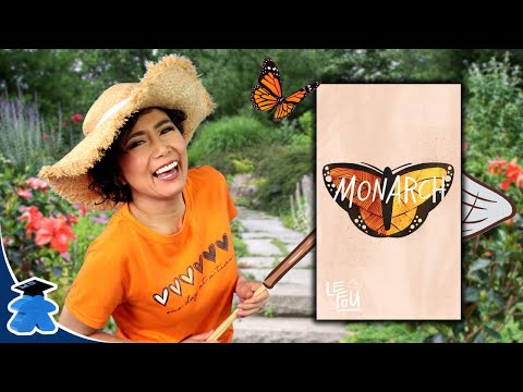 Monarch