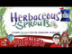 Herbaceous Sprouts