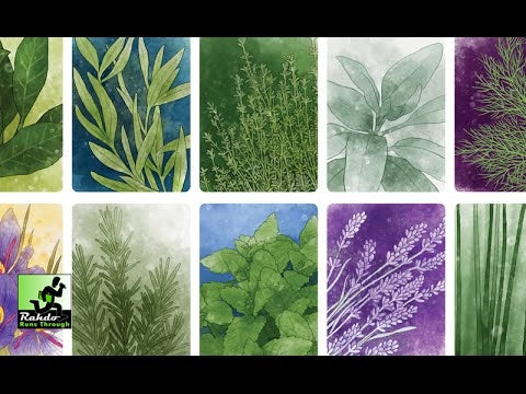 Herbaceous