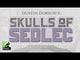 Button Shy - Skulls of Sedlec