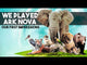 Ark Nova