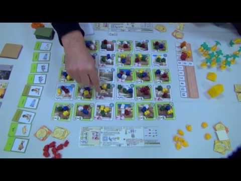 Five Tribes