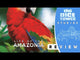 Life of the Amazonia (Minor Damage)