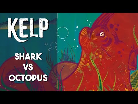 Kelp: Shark vs Octopus