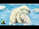 Rescue Polar Bears: Data & Temperature (Import)