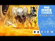 TEMBO: Survival on the Savanna