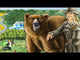 Folded Space - Barenpark & The Bad News Bears Expansion