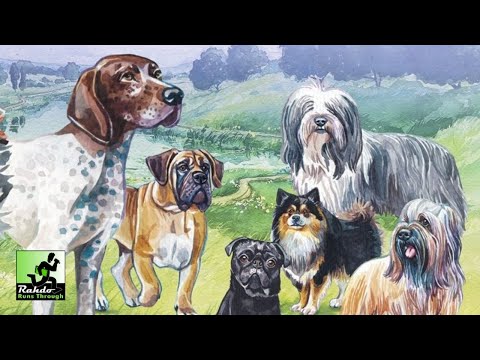 Dog Park (Standard Edition)