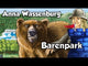 Bärenpark
