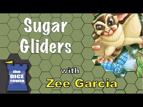 Sugar Gliders (Import)