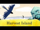 Harvest Island (Import)