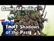 Teenage Mutant Ninja Turtles: Shadows of the Past