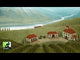Viticulture World: First Game Continent Promo Pack