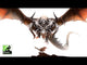 Primal: The Awakening (Base Game) (Import)