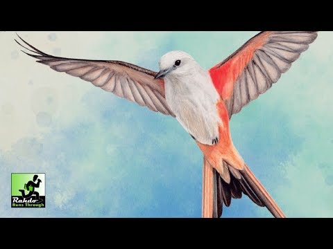 Wingspan (New Edition)