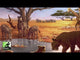 Carcassonne: Safari
