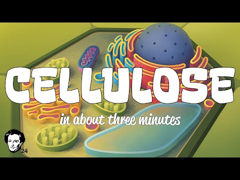 Cellulose: A Plant Cell Biology Game
