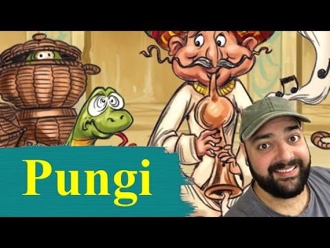 Pungi