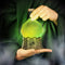 Sorcerers Potion Light: Green