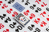 Bicycle Playing Cards - Bridge Size Large Print (Blue)