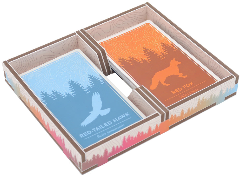 Folded Space - Color: Cascadia