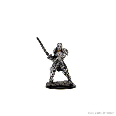 Dungeons & Dragons: Icons of the Realms - Male Human Fighter