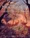 Adventures In Middle-Earth RPG: Wilderland Adventures (Book)