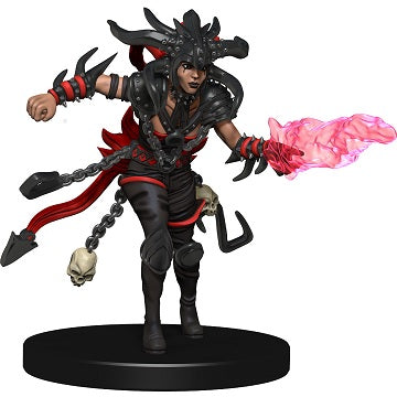 Dungeons & Dragons: Icons of the Realm: Guildmasters' Guide to Ravnica Companion Starter Set 2