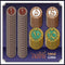 Tabriz Metal Coins *PRE-ORDER*