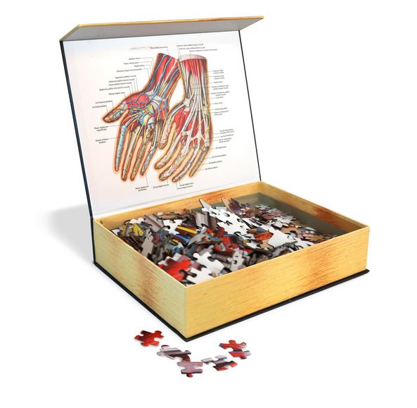 Puzzle - Genius Games - Dr Livingston: Human Hands (512 Pieces)