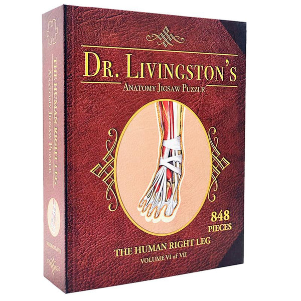 Puzzle - Genius Games - Dr Livingston: Human Right Leg (848 Pieces)