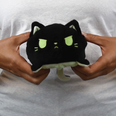 Reversible Cat Plushie Glow in the Dark (Happy Green+Angry Black)