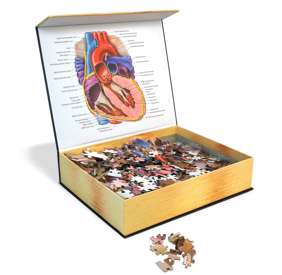 Puzzle - Genius Games - Dr Livingston: Human Heart (597 Pieces)