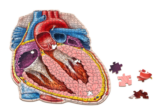 Puzzle - Genius Games - Dr Livingston: Human Heart (597 Pieces)