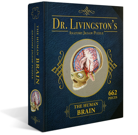 Puzzle - Genius Games - Dr Livingston: Human Brain (662 Pieces)