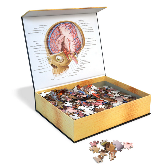 Puzzle - Genius Games - Dr Livingston: Human Brain (662 Pieces)