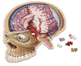 Puzzle - Genius Games - Dr Livingston: Human Brain (662 Pieces)