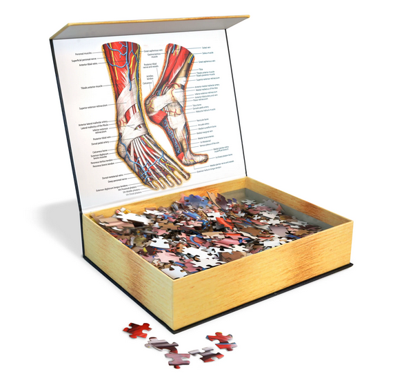 Puzzle - Genius Games - Dr Livingston: Human Feet (764 Pieces)
