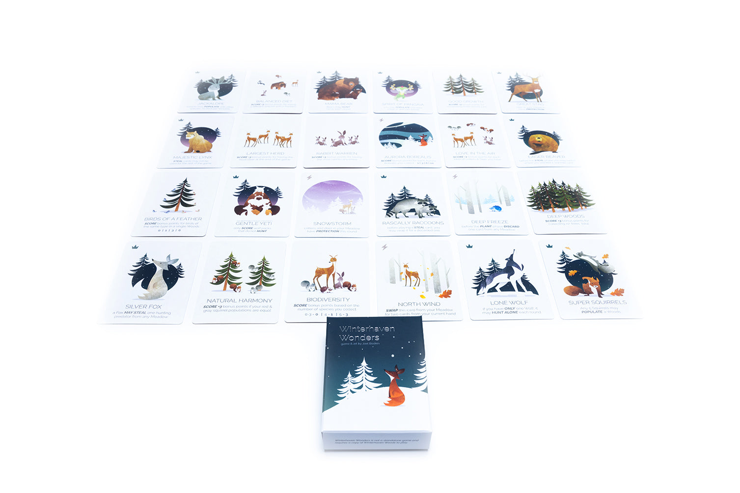 Winterhaven Woods: Winterhaven Wonders