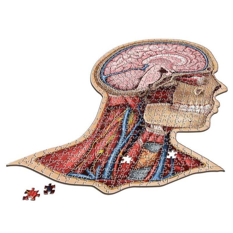 Puzzle - Genius Games - Dr Livingston: Human Head (538 Pieces)