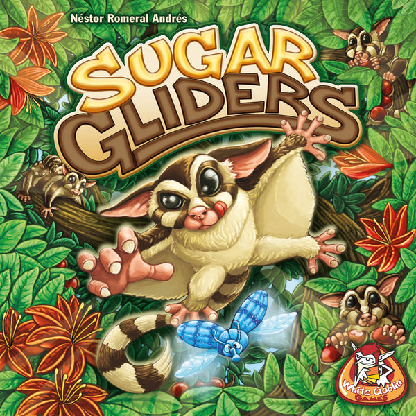 Sugar Gliders (Import)