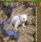 Zooloretto: Polar Bear