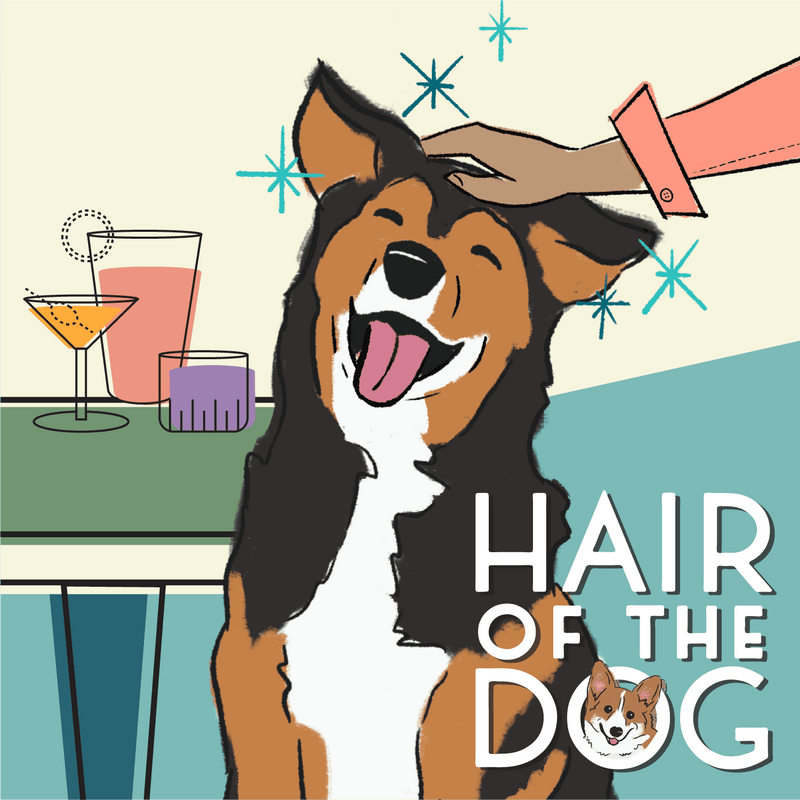 Hair of the Dog & Board Game & Board Game Bliss