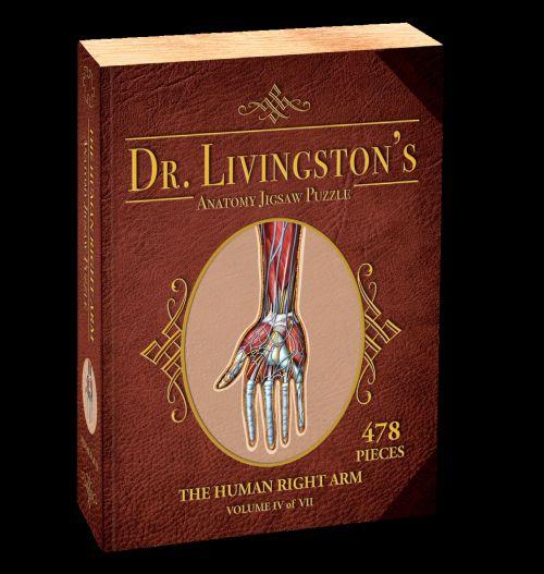 Puzzle - Genius Games - Dr Livingston: Human Right Arm (478 Pieces)